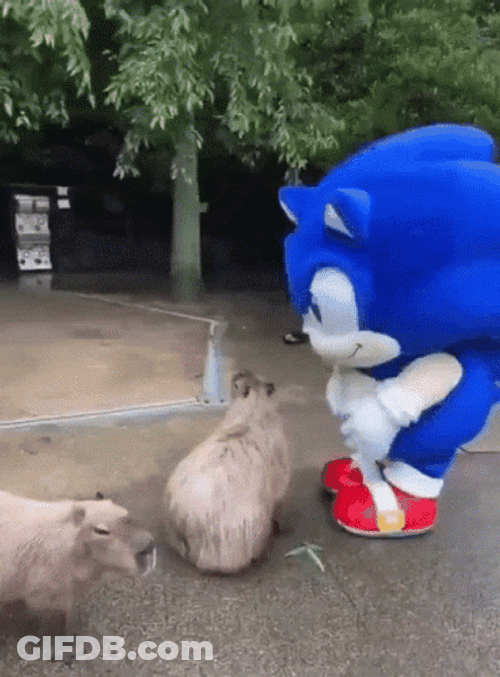 Sonic Feeding Capybara Meme GIF