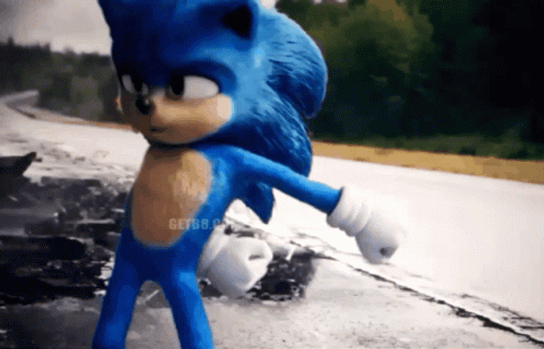 Sonic Floss Crazy Dance GIF