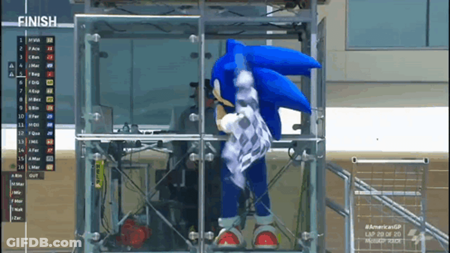 Sonic Hedgehog Waving Checkered Flag GIF