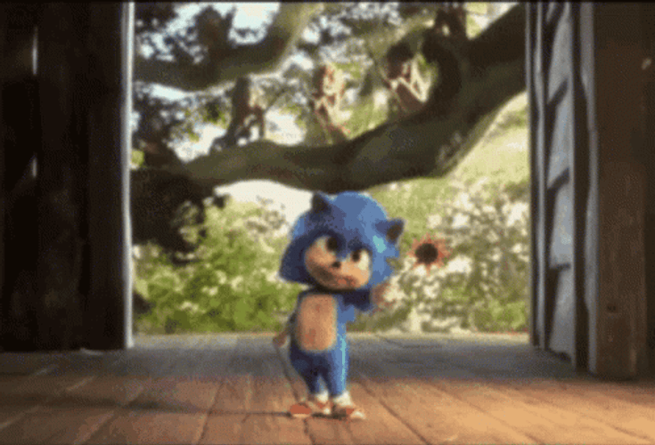 Sonic Holding Sunflower GIF