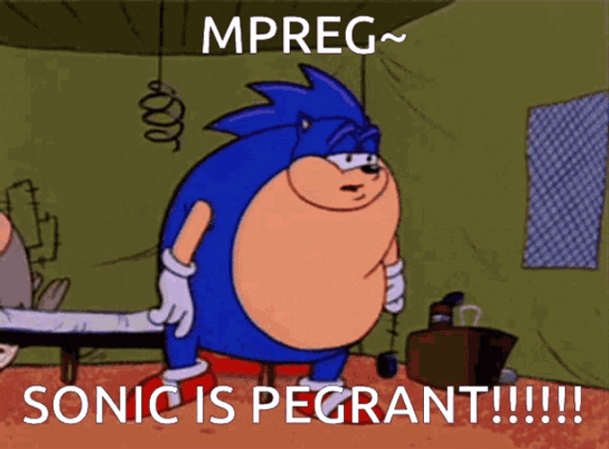 Sonic Is Pregnant GIF