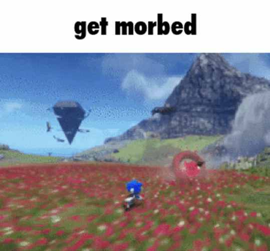 Sonic Lost World Get Morbed GIF