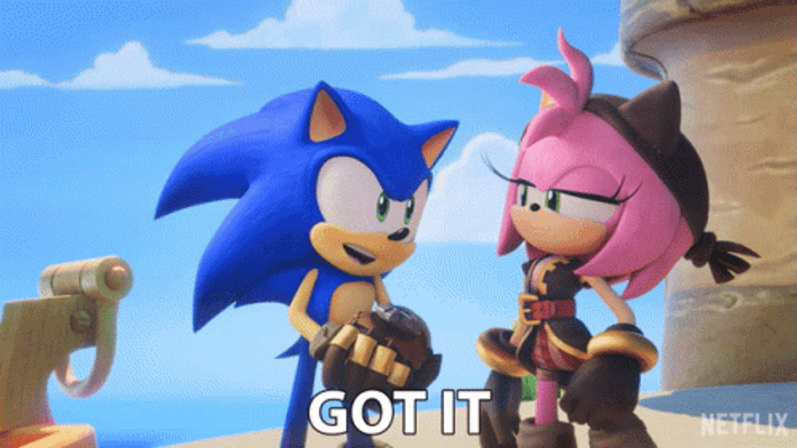 Sonic Prime With Amy Rose Got It GIF