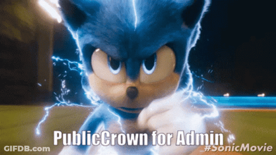 Sonic Running Fast Public Crown For Admin GIF