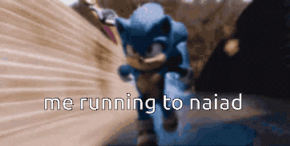 Sonic Running Me Running To Naiad Meme GIF