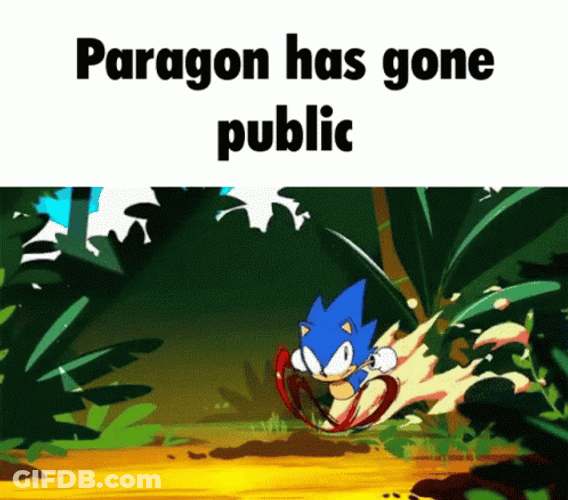 Sonic Running Paragon Has Gone Pubic Meme GIF