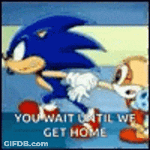 Sonic Running Wait Until We Get Home GIF