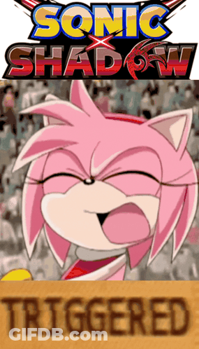 Sonic Shadow Poster Amy Making Funny Face GIF