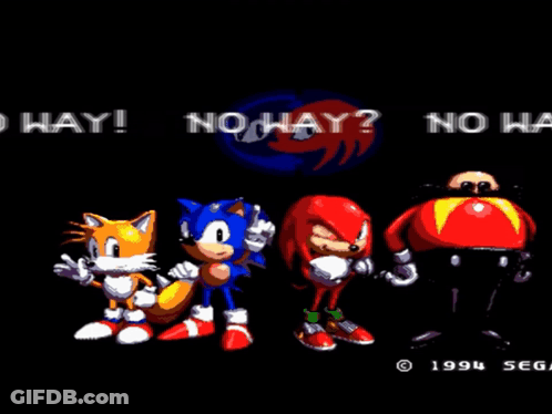 Sonic Tails Knuckles Eggman Standing GIF