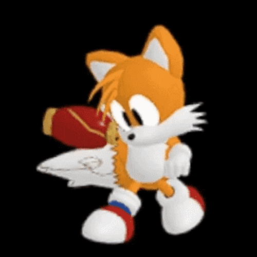 Sonic Tails Sonic The Hedgehog GIF