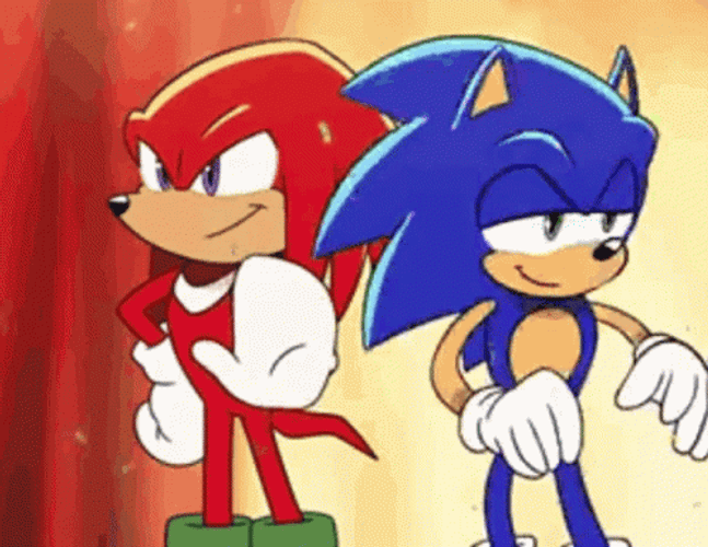 Sonic Taps Knuckles The Echidna GIF