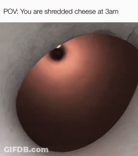Sonic The Hedgehog Amortyzator Kot To Stinky Cheese GIF