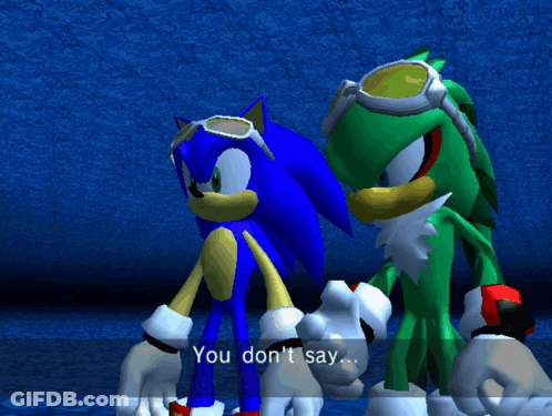 Sonic The Hedgehog And Jet The Hedgehog Are Standing Next To Each Other With The Words " You Don 'T Say " Above Them GIF