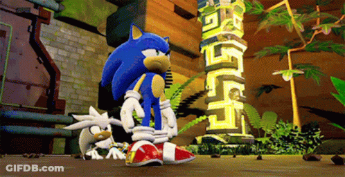 Sonic The Hedgehog And Silver The Hedgehog Are Standing Next To Each Other GIF