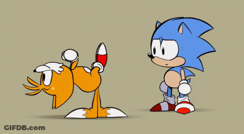 Sonic The Hedgehog And Tails GIF