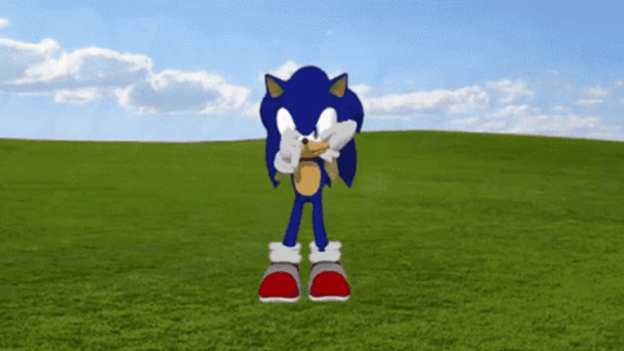Sonic The Hedgehog Fast Dancing In The Field Meme GIF