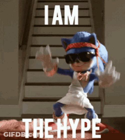 Sonic The Hedgehog Funny I Am The Hype GIF