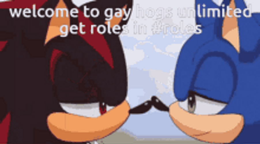 Sonic The Hedgehog Gay LGBT Kiss GIF
