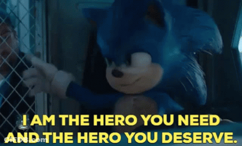 Sonic The Hedgehog I Am The Hero You Need And The Hero You Deserve GIF