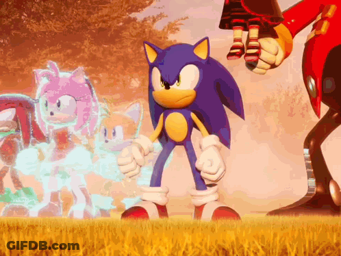Sonic The Hedgehog Is Standing In A Field Next To Amy Rose And Eggman GIF