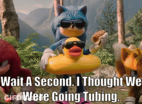 Sonic The Hedgehog Is Wearing Sunglasses And Holding A Rubber Duck In His Hand GIF