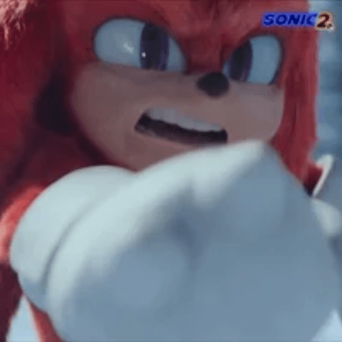 Sonic The Hedgehog Knuckles The Echidna Training GIF