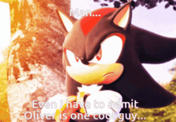 Sonic The Hedgehog Man Cool Guy GIF