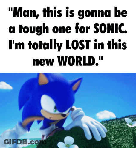 Sonic The Hedgehog Quote GIF