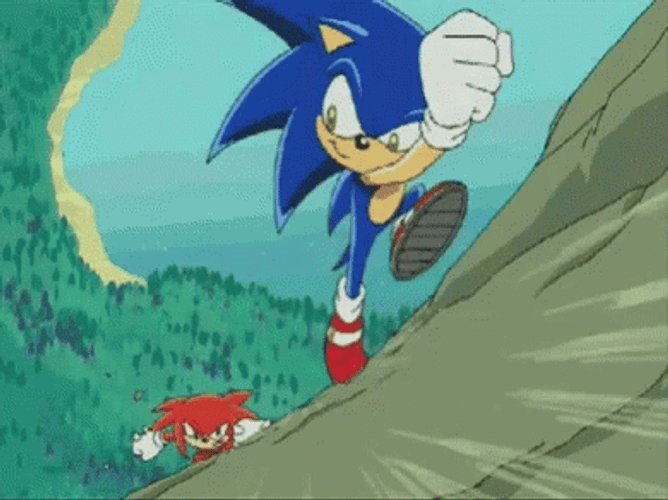 Sonic The Hedgehog Running Away From Knuckles GIF