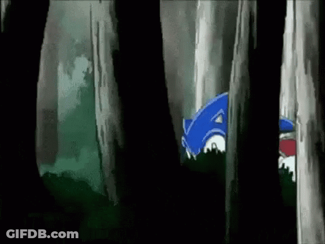 Sonic The Hedgehog Running Away From Shadow GIF