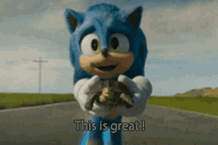 Sonic The Hedgehog Running This Is Great GIF