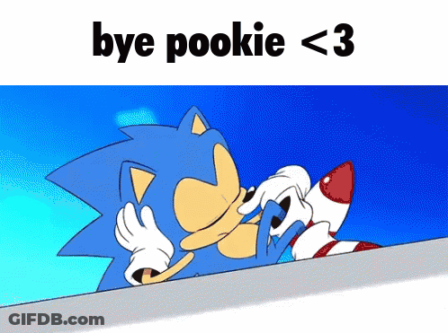 Sonic The Hedgehog Saying Bye Pookie 3 GIF