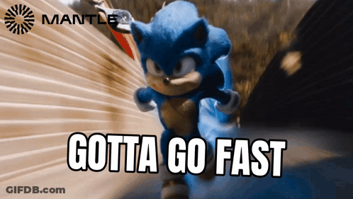 Sonic The Hedgehog Saying Gotta Go Fast GIF