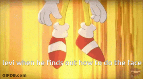 Sonic The Hedgehog Saying Levi When He Finds Out How To Do The Face GIF