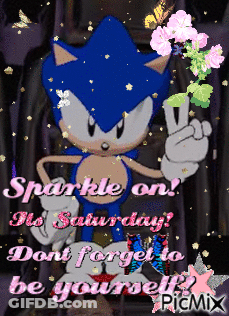 Sonic The Hedgehog Saying Sparkle On Saturday GIF