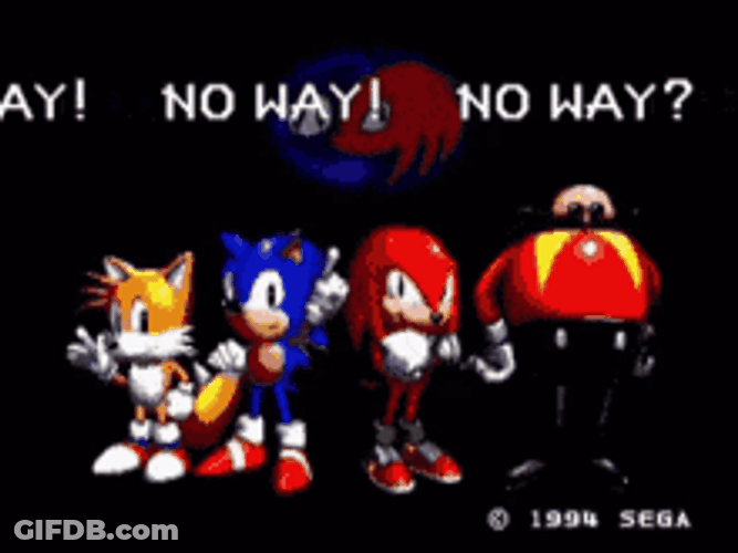 Sonic The Hedgehog Tails Knuckles No Way GIF