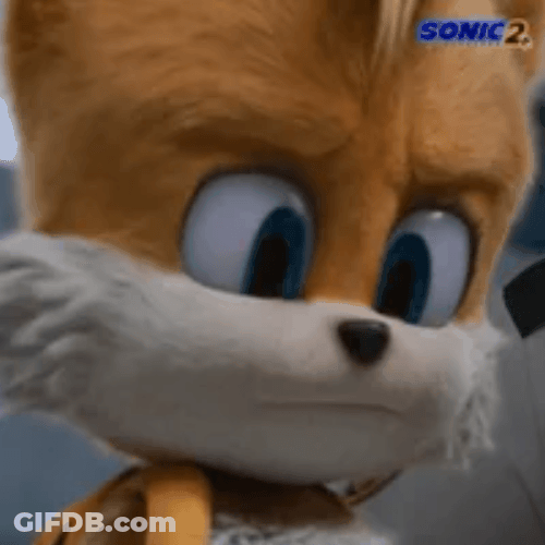 Sonic The Hedgehog Tails Sonic 2 Okay GIF