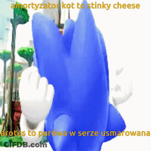 Sonic The Hedgehog With Amortyzator Kot To Stinky Cheese GIF