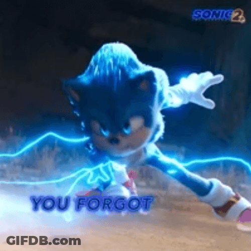 Sonic The Hedgehog You Forgot Unstoppable GIF