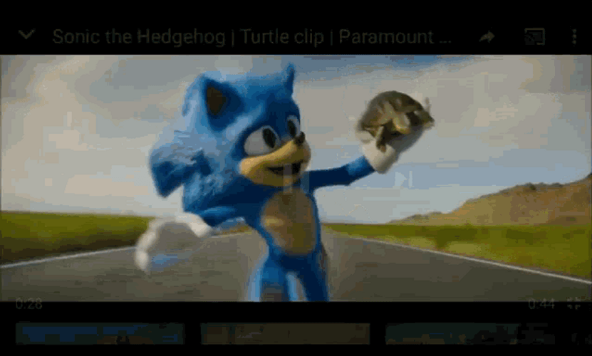Sonic Turtle Thrown Away GIF