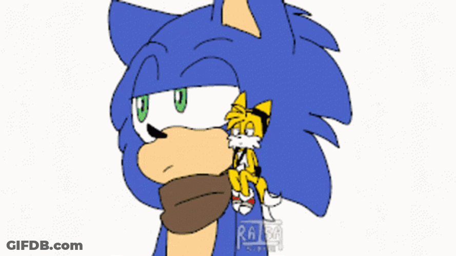 Sonic X Giant Sonikun GIF
