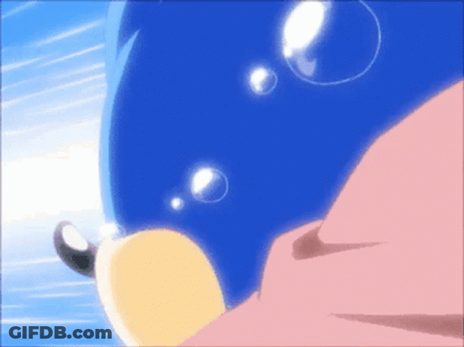 Sonic X Japanese Animated Series GIF