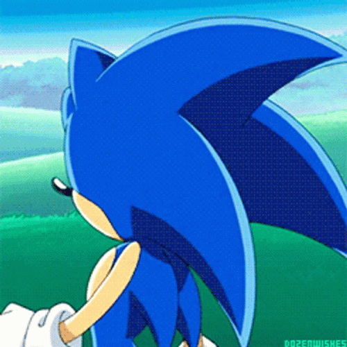 Sonic X Jumping The Hill GIF