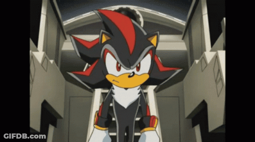 Sonic X Shadow The Hedgehog GIF