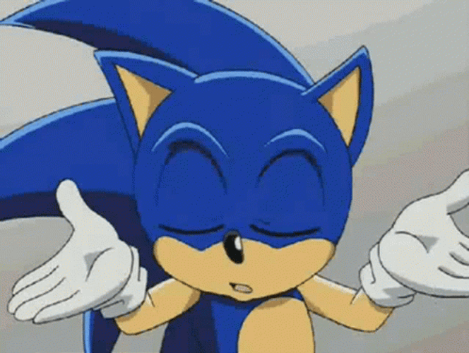 Sonic X The Hedgehog No Idea GIF
