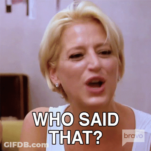 Sonja Morgan Who Said That GIF