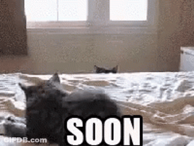 Soon Sneaking Black Cat GIF