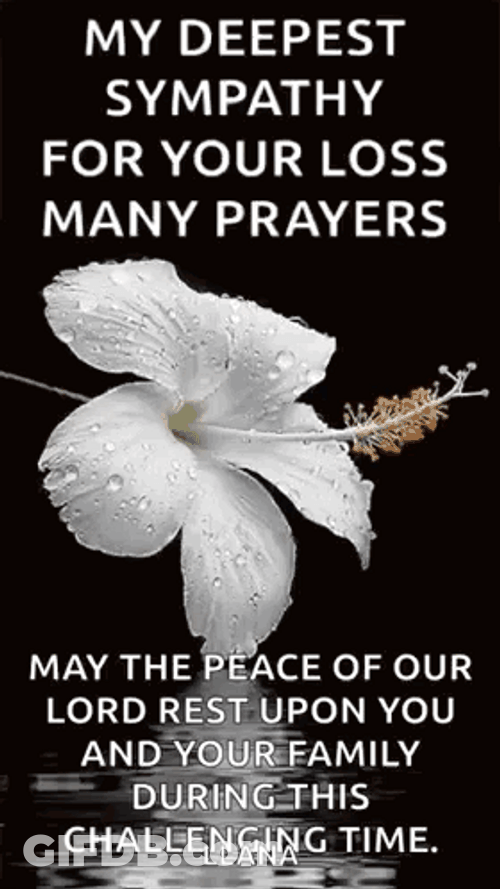 Sorrows Prayers White Flowers GIF