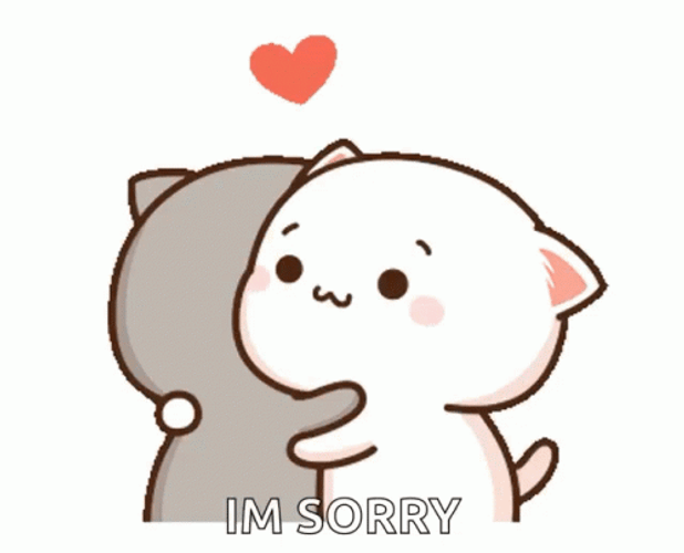 Sorry Cat Hug GIF