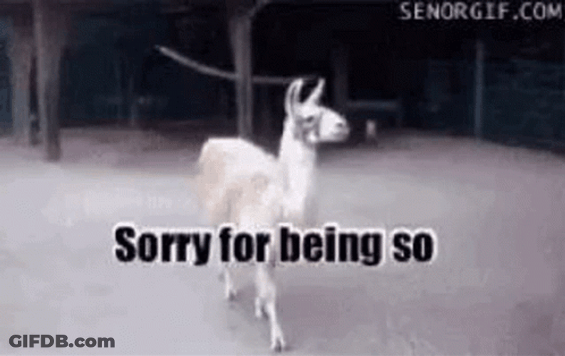 Sorry For Being So Fabulous GIF